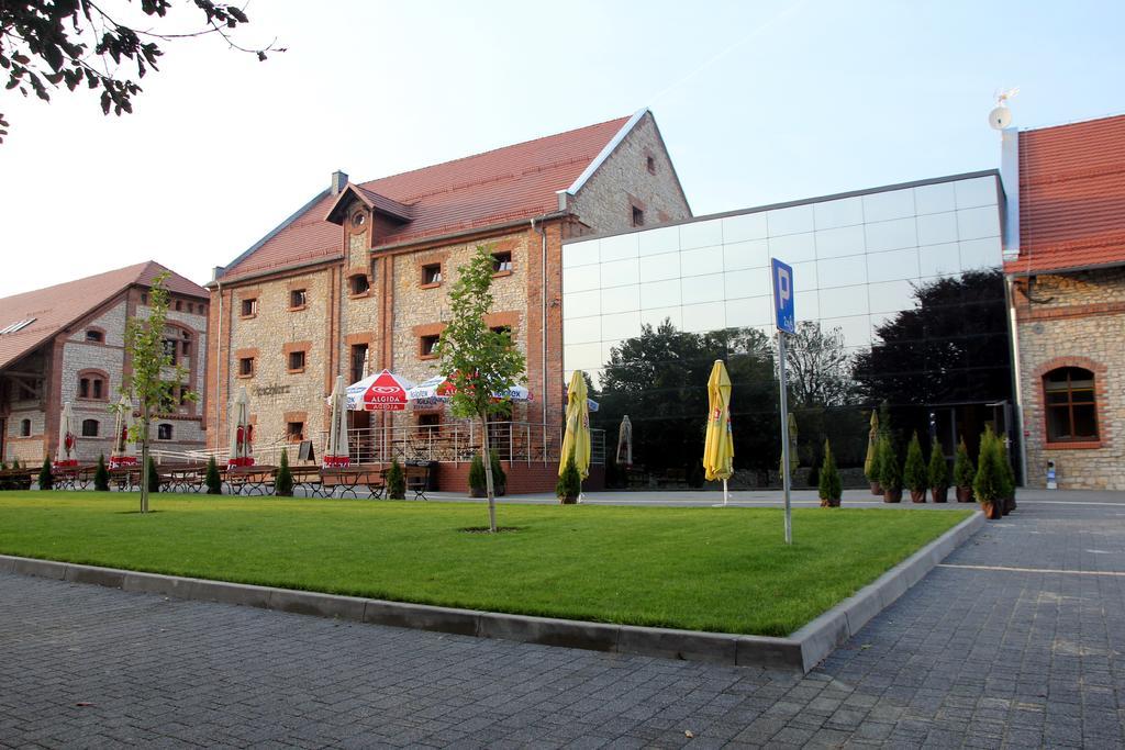 Noclegi Zlota Podkowa Olszowa Экстерьер фото