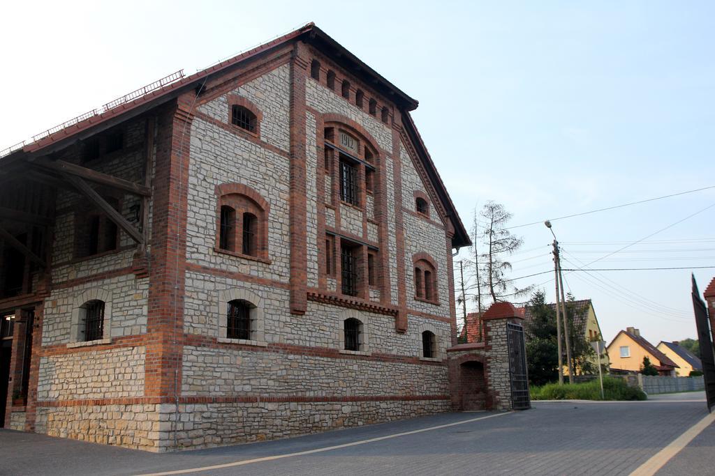 Noclegi Zlota Podkowa Olszowa Экстерьер фото